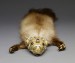 Thumbnail: Marten's Head