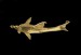 Thumbnail: Shark Pendant