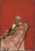 Thumbnail: An Ecclesiastic