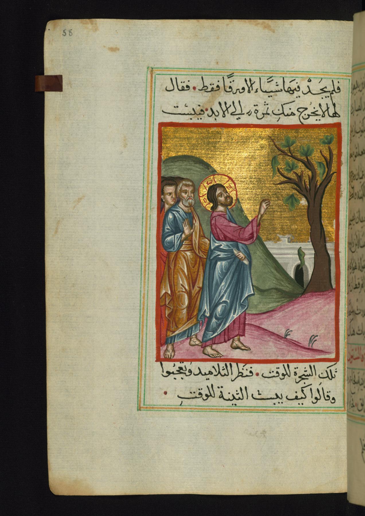 Jesus Curses the Fig Tree