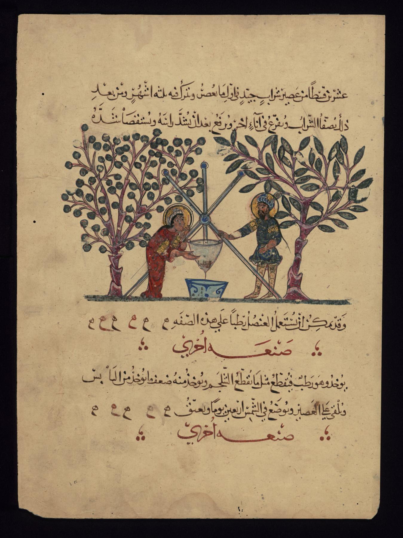 Single Leaf from the Arabic Version of Dioscorides' De materia medica