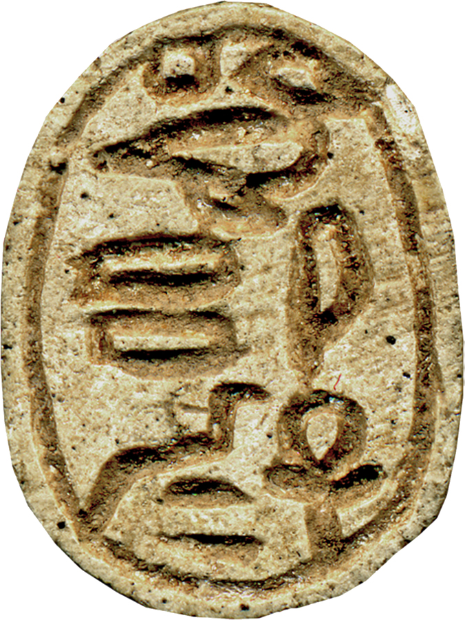 Scarab of Sheshi