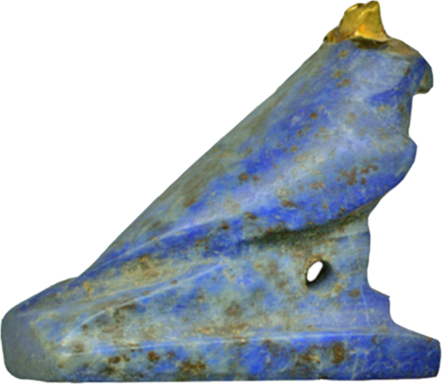 Horus Falcon