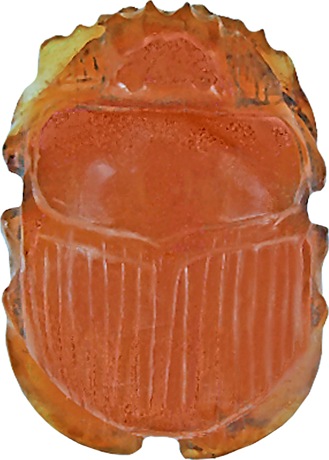 Naturalistic Scarab