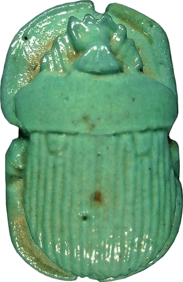 Naturalistic Scarab