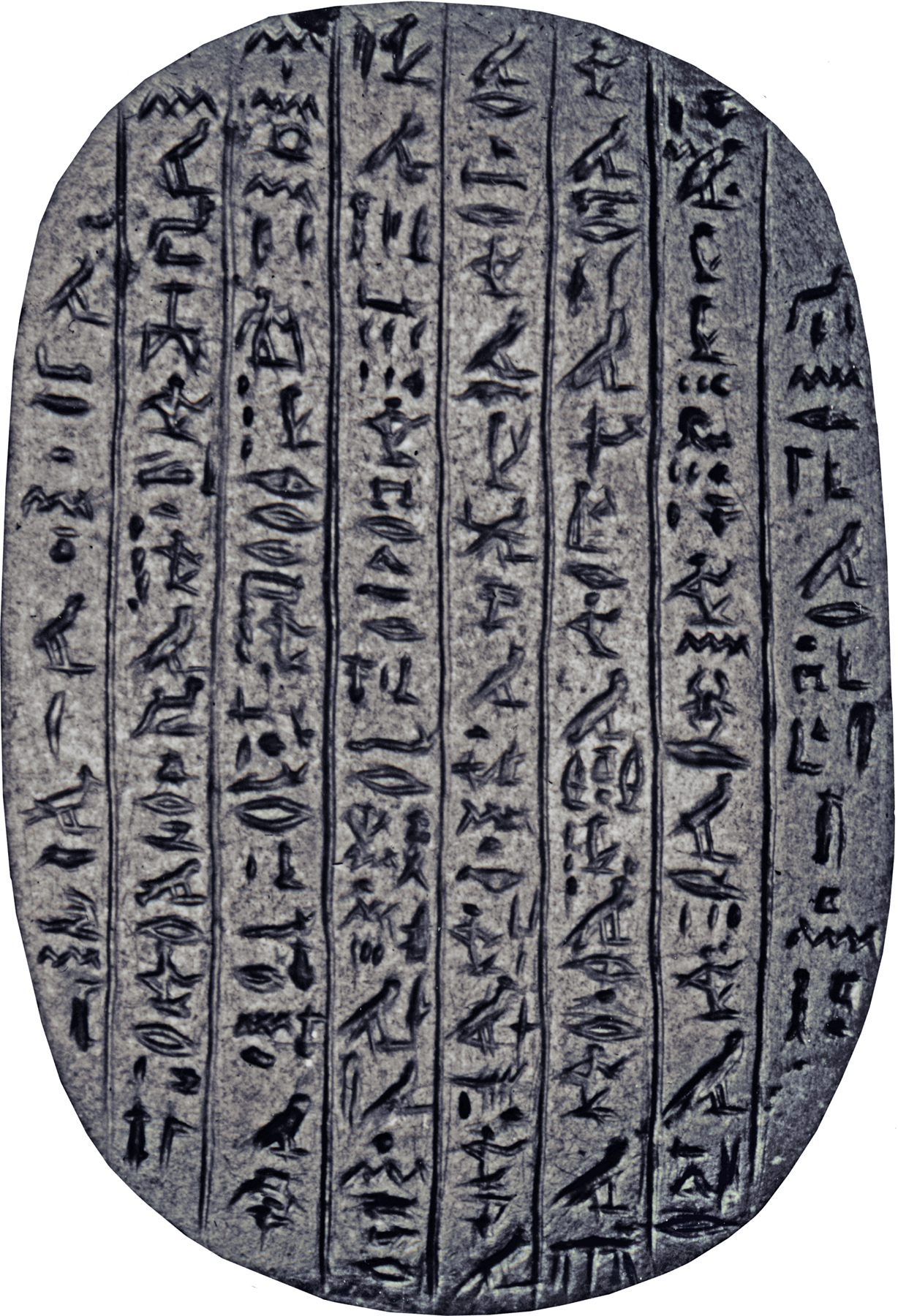 Heart Scarab