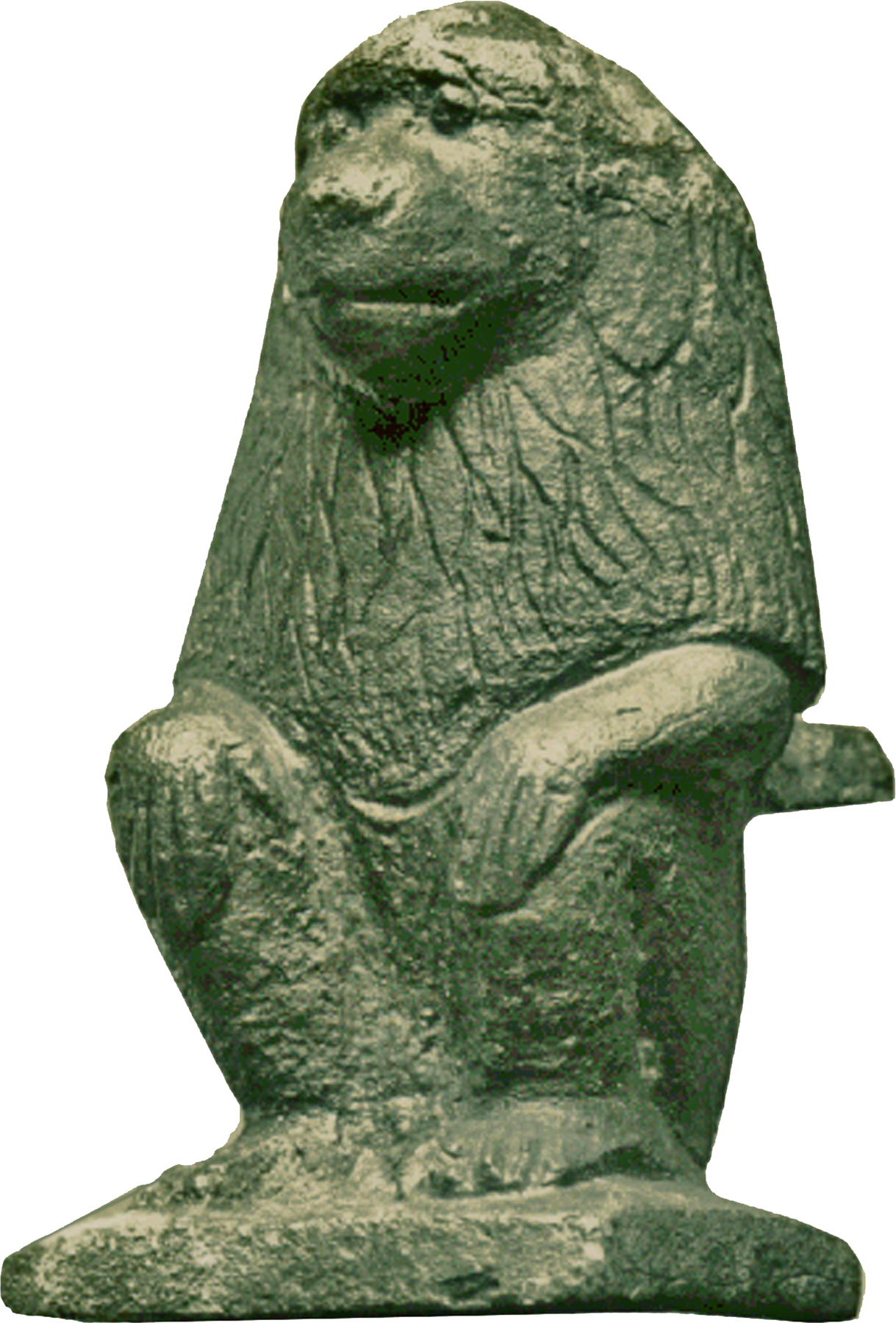 Baboon