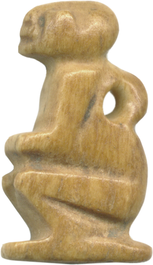 Baboon (?)