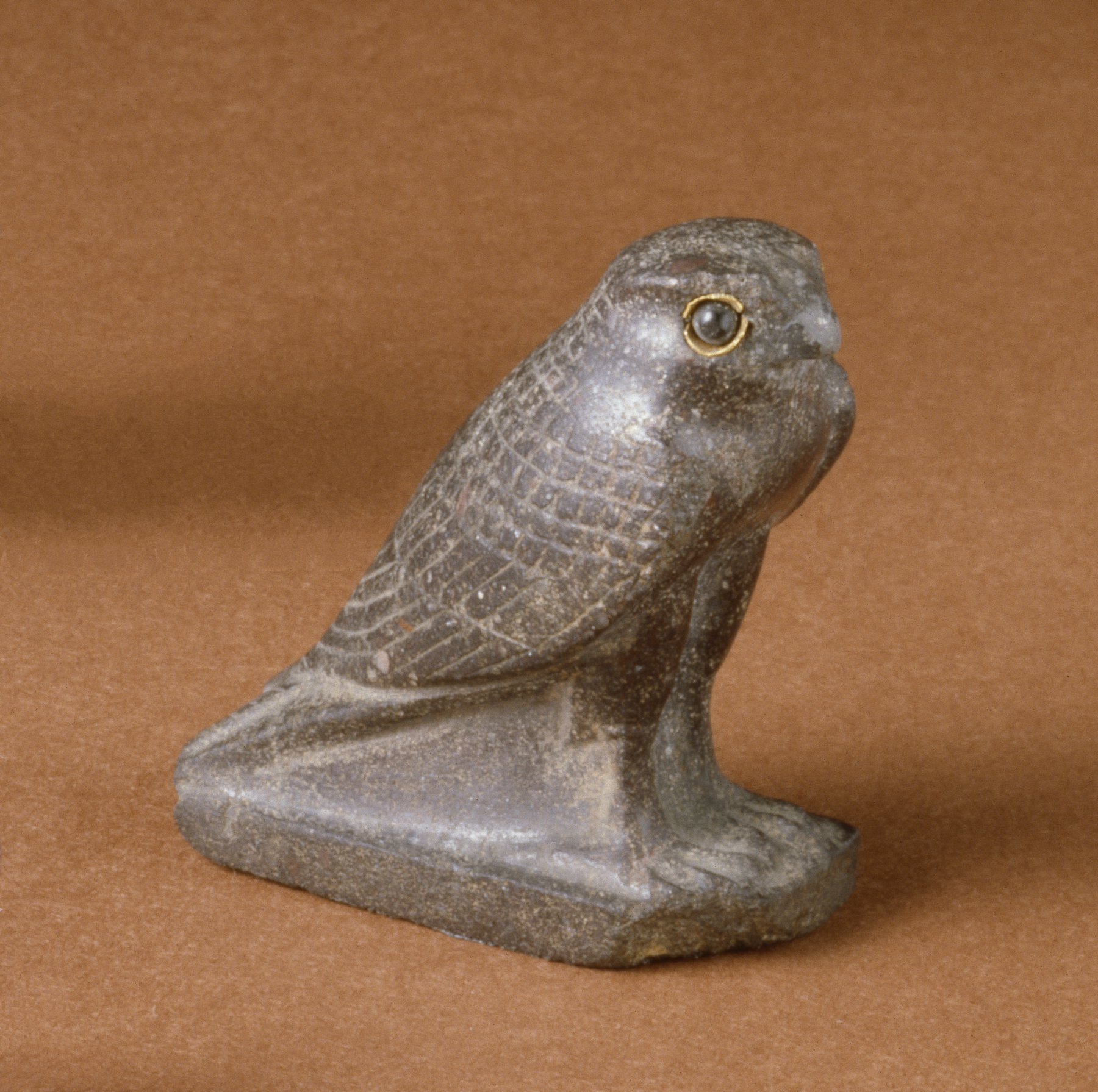 Horus Falcon