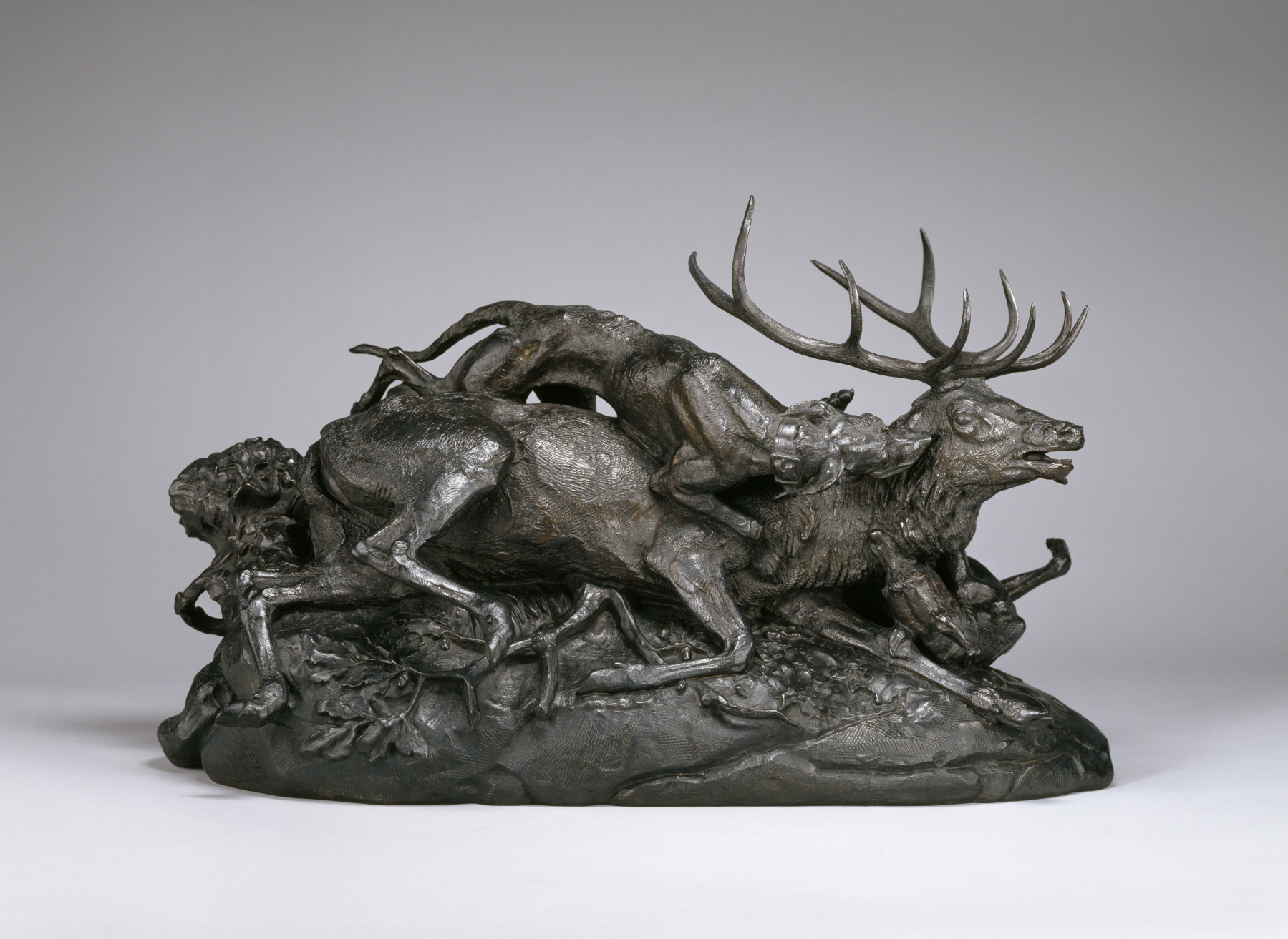 Stag Brought Down by Scottish Hounds (Lucas model)