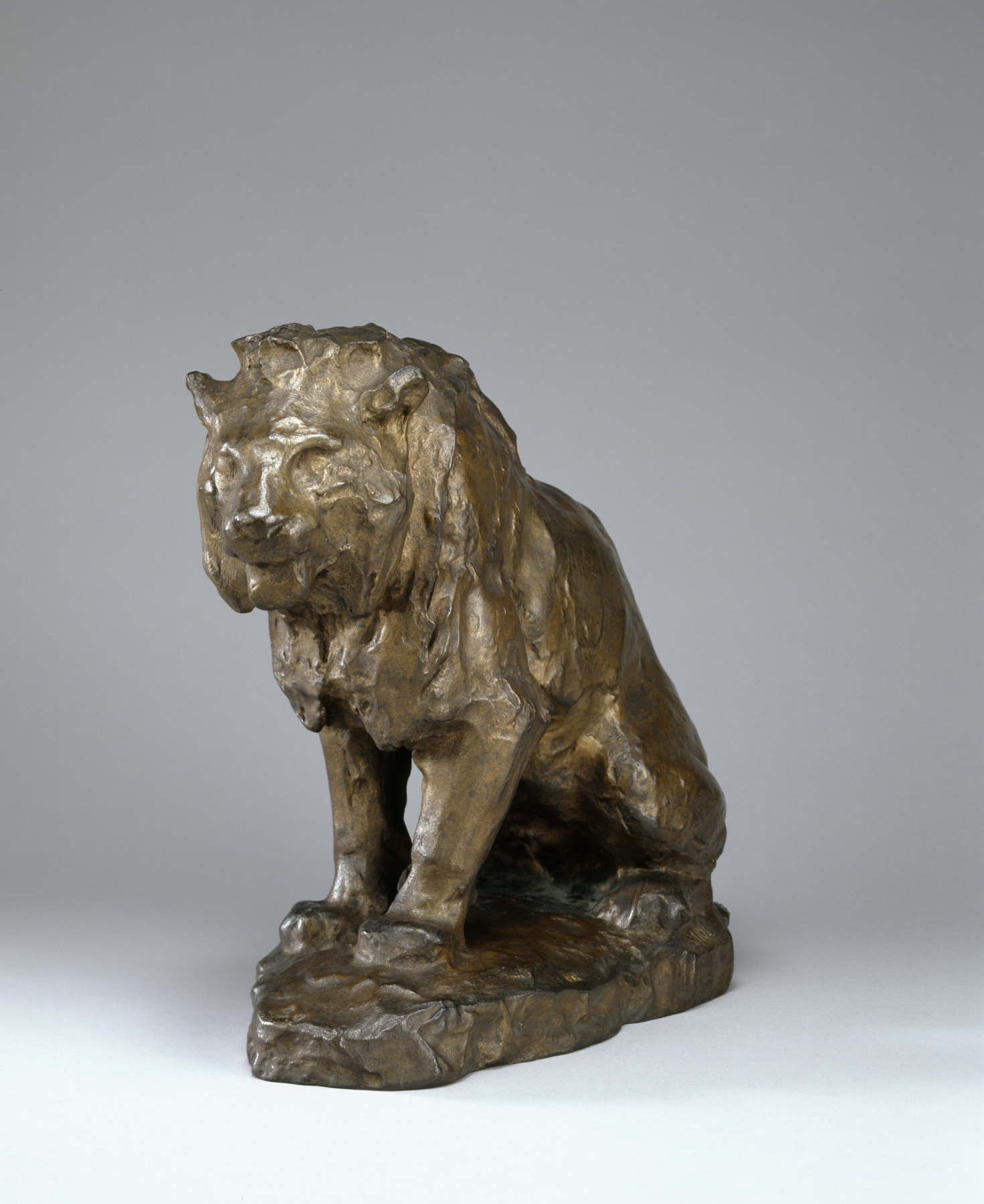 Sketch for Seated Lion