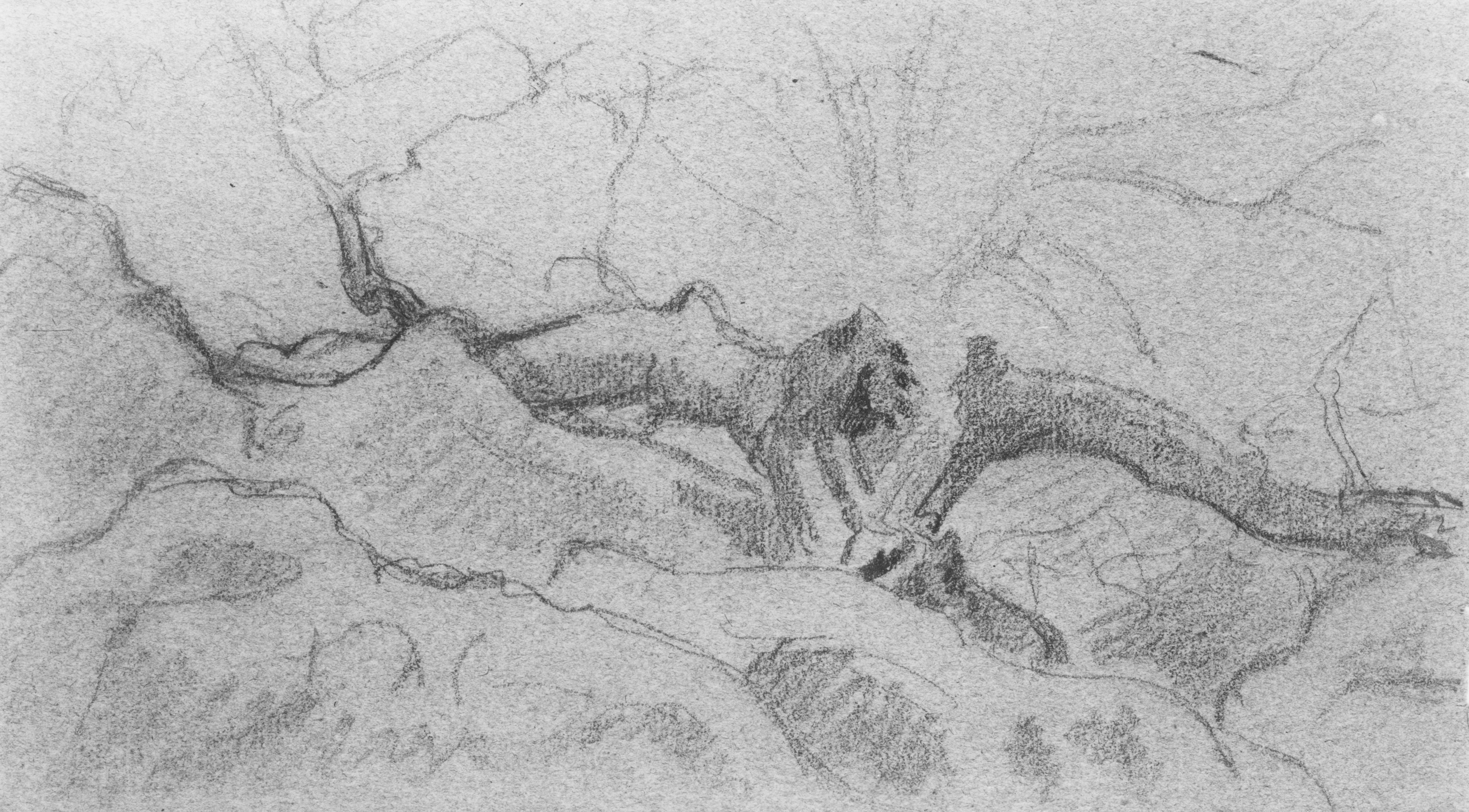 Landscape with Old Tree and Rocks
