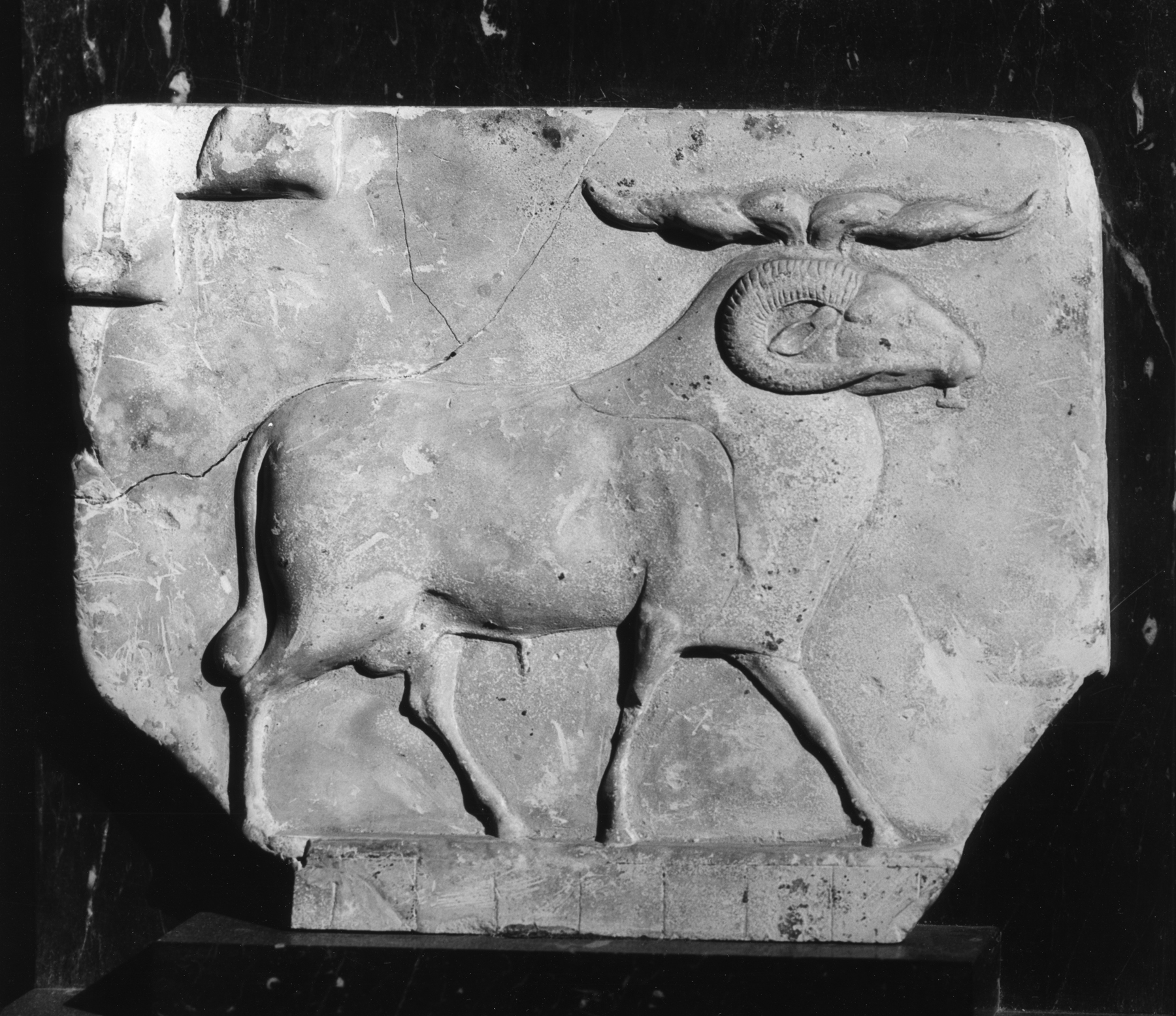 Sculptor's Model showing Ram with Grid