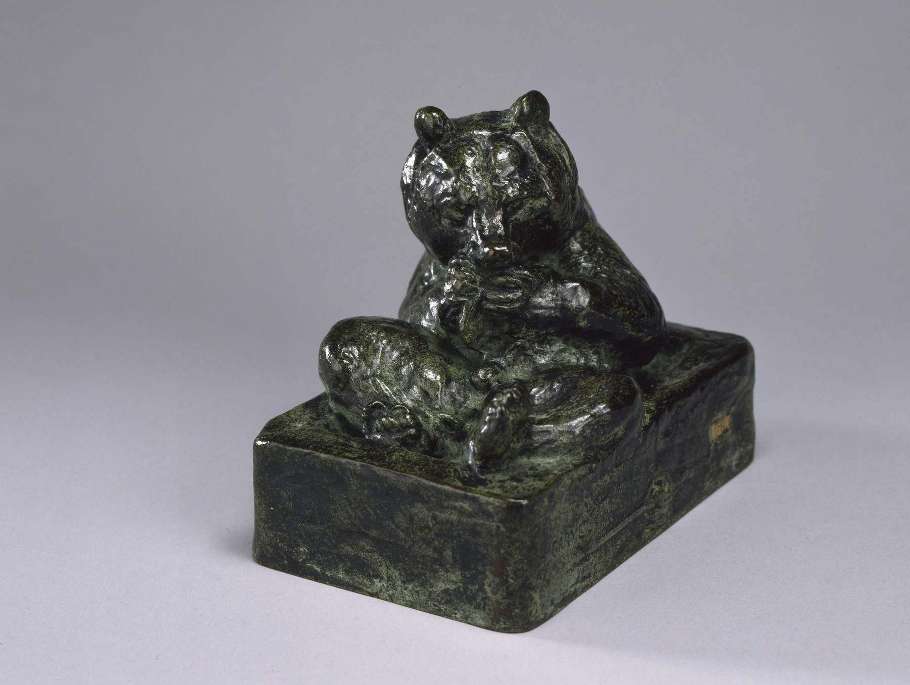 Bear in a Trough