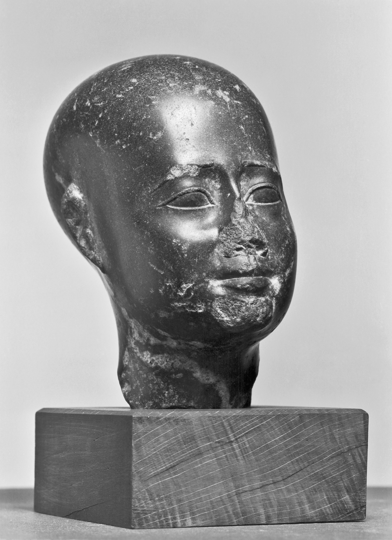 Idealized Head of an Egyptian Official