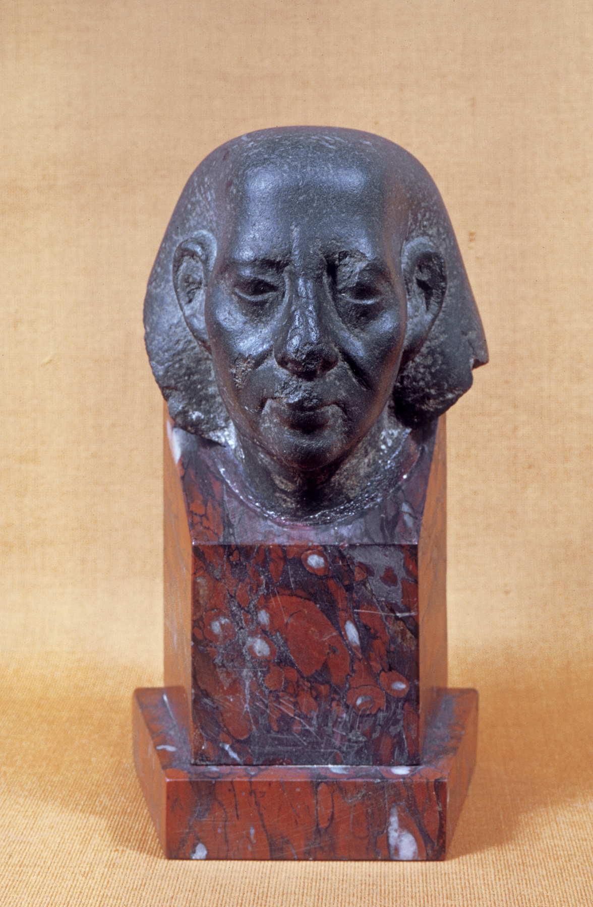 Head of Old Man