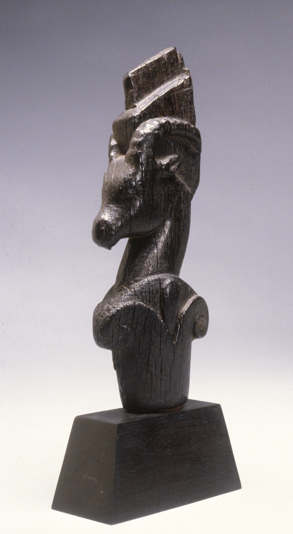 Ibex Head Lyre Fragment