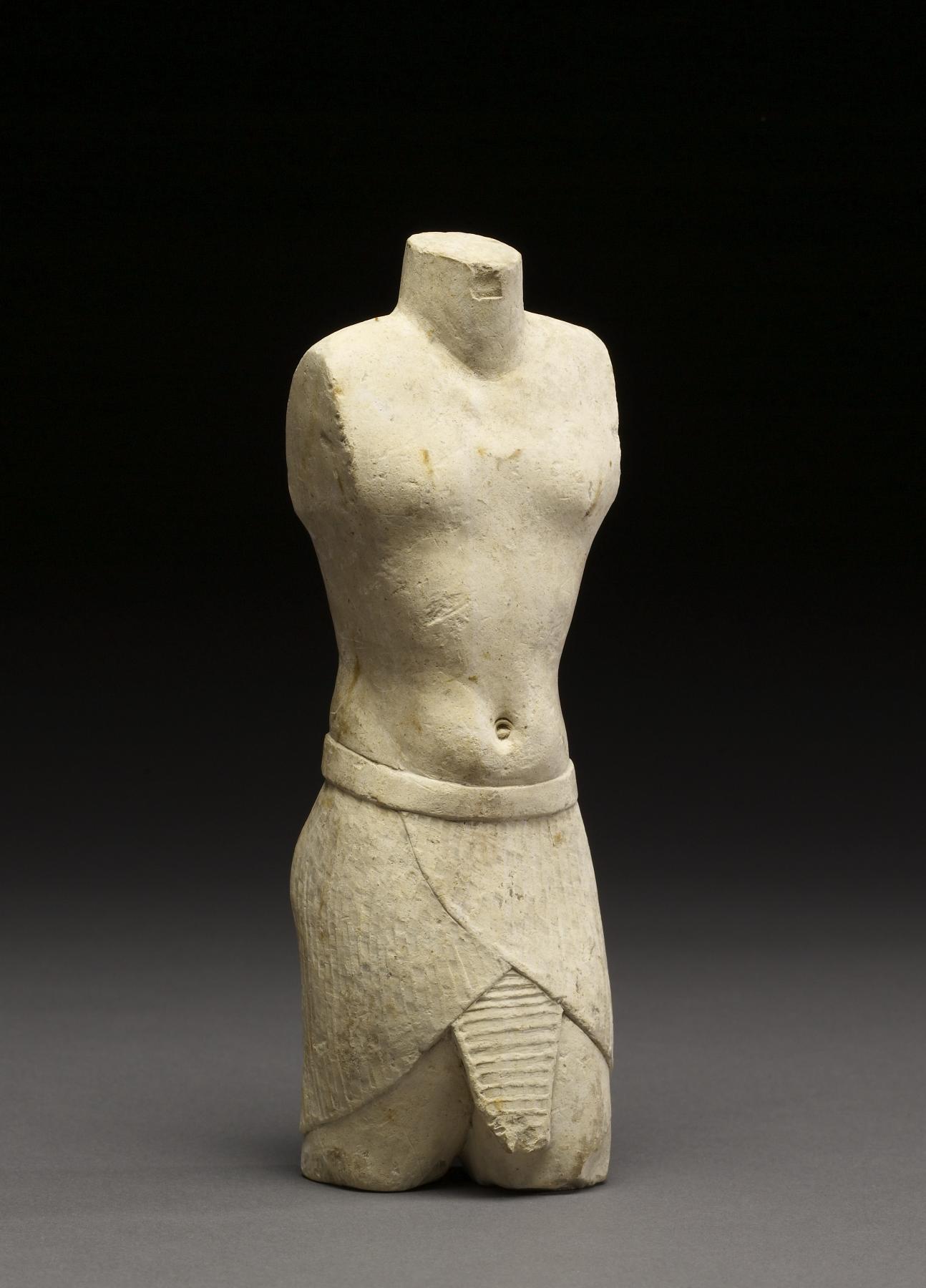 Model Torso