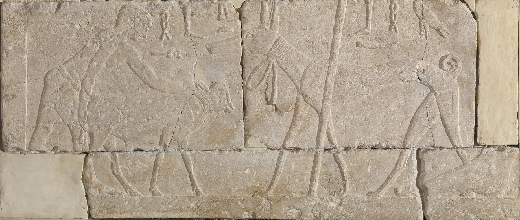 Man with Calf and Dog