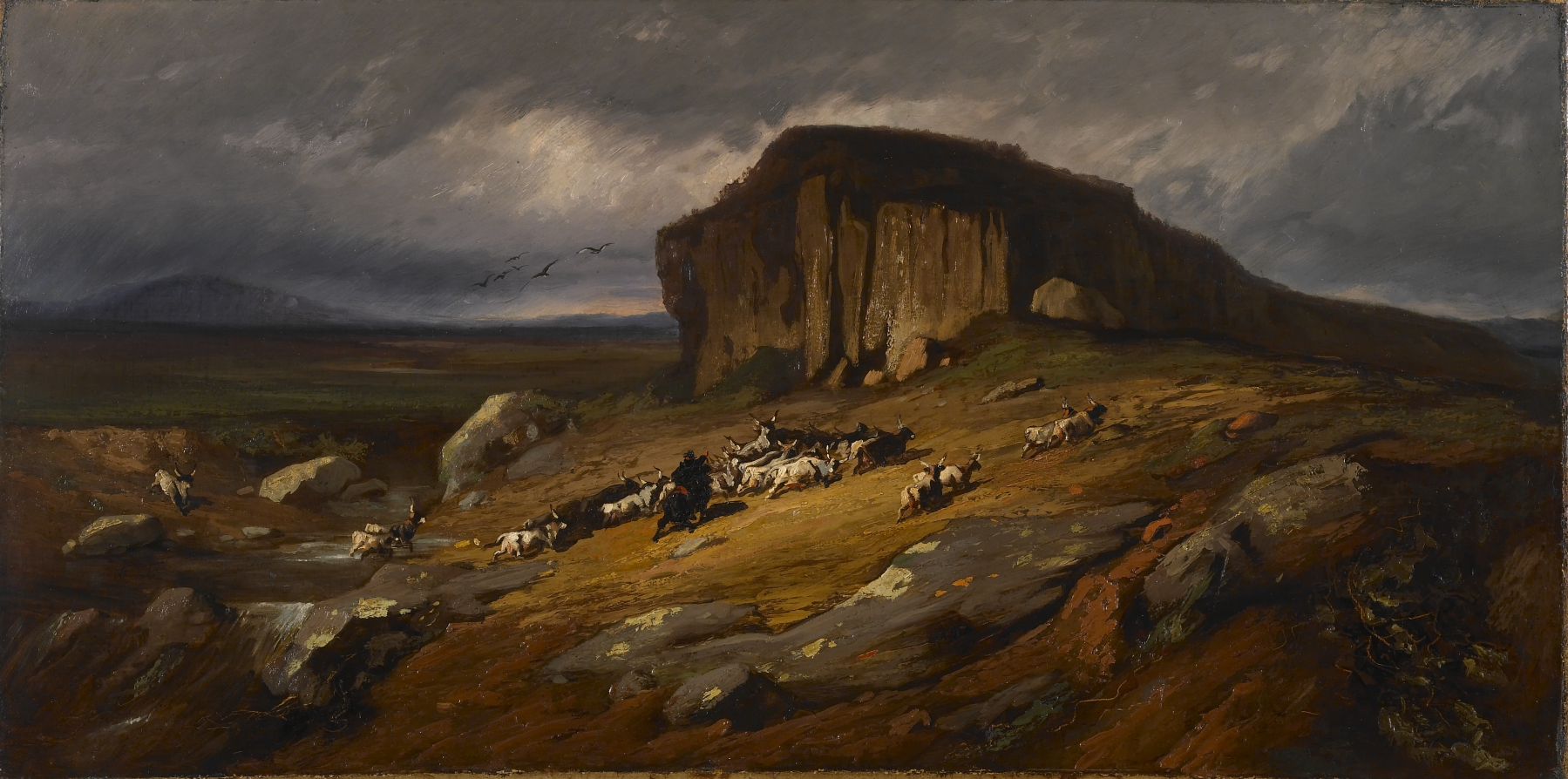 Landscape with Buffalo