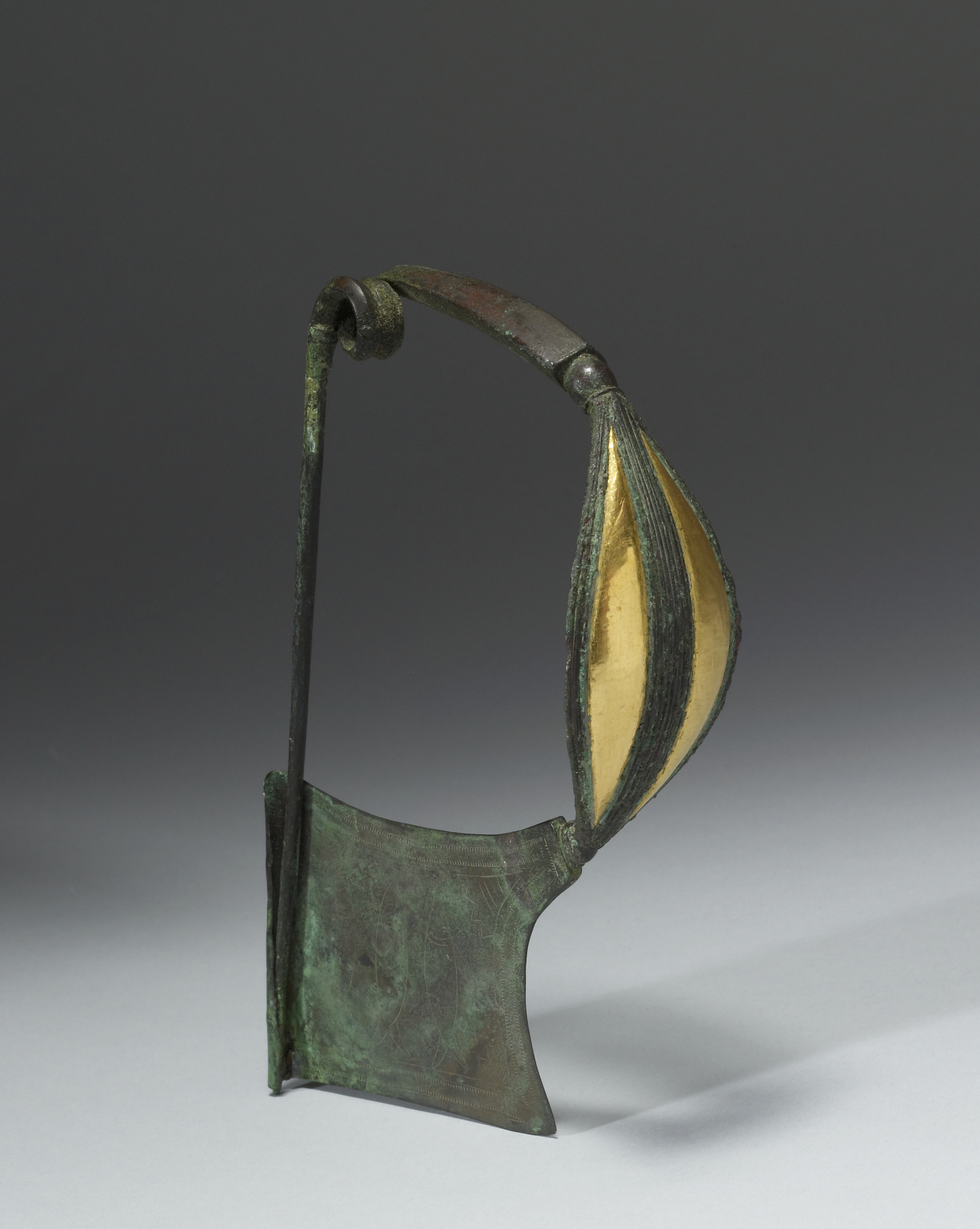 Plate Fibula