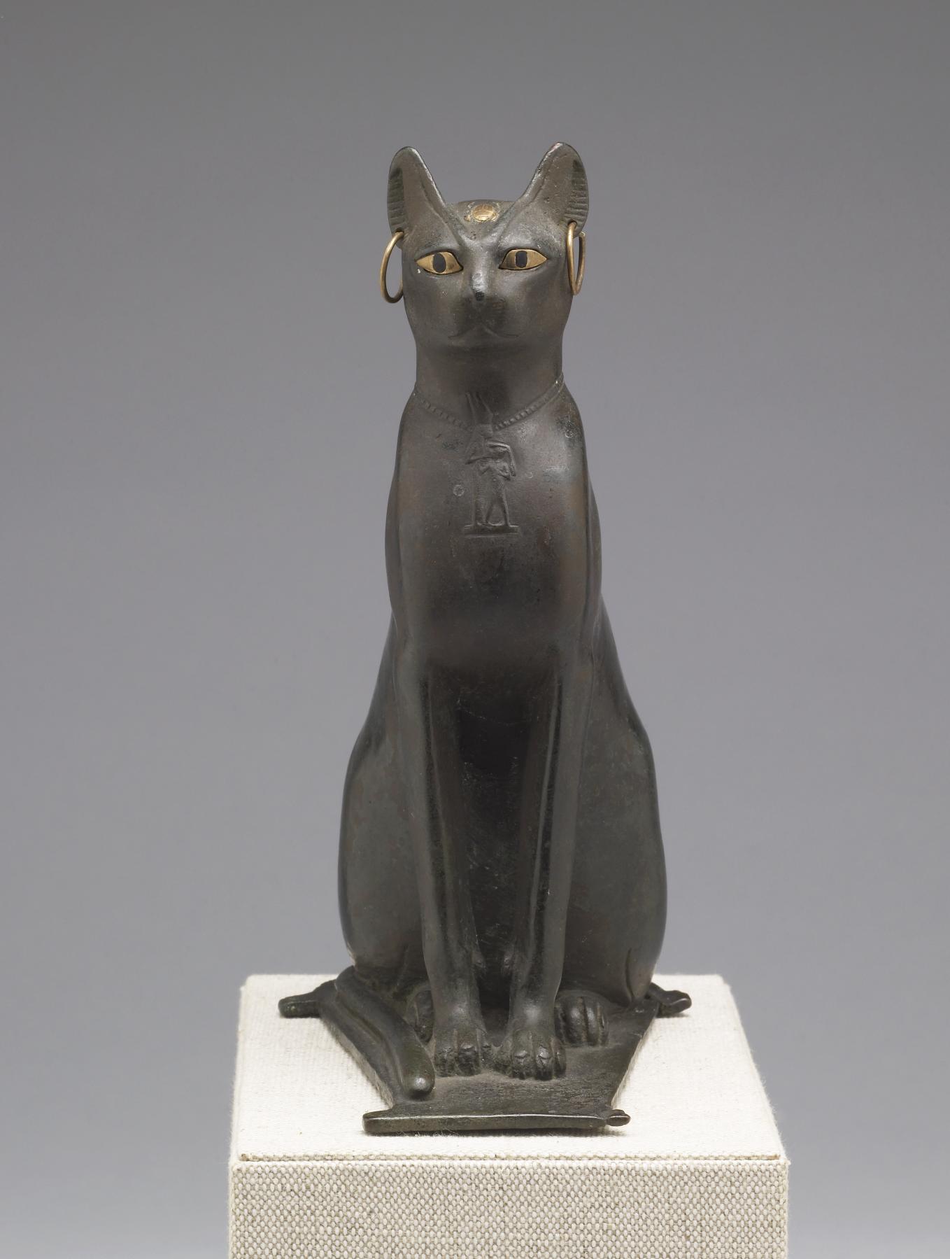 Seated Cat