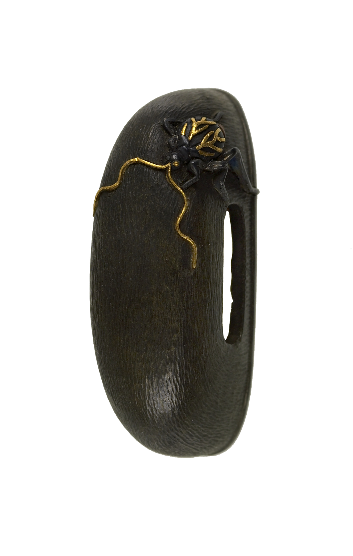Kashira with a Cricket
