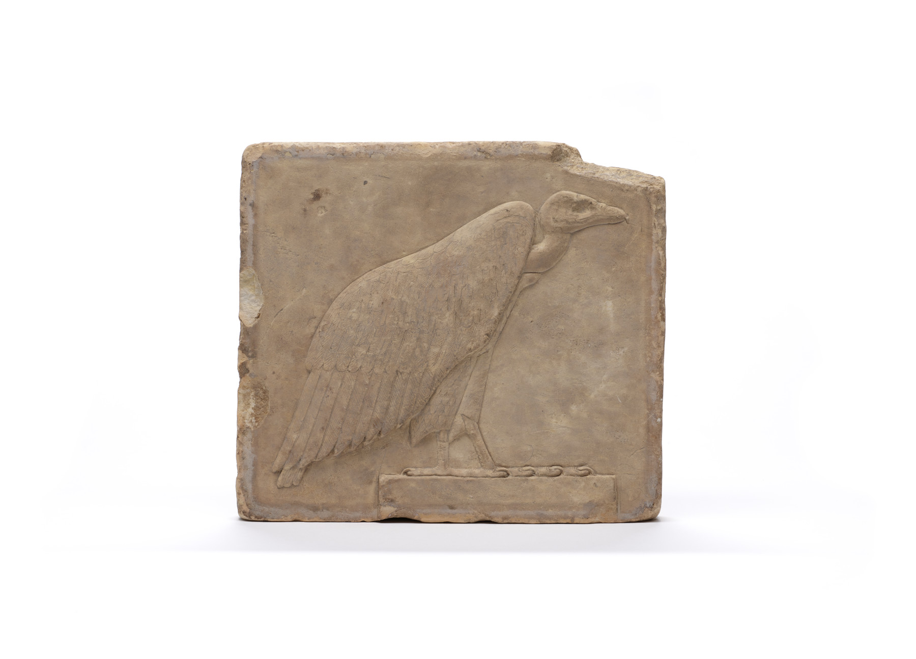 Sculptor's Model of a Vulture Hieroglyph